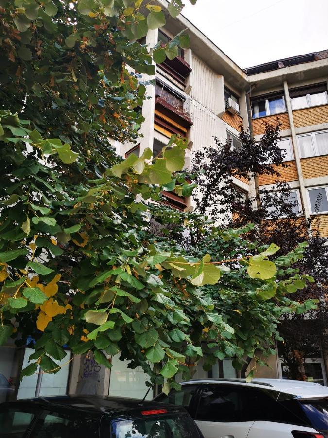 T&A Apartman Paraćin Kültér fotó
